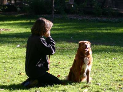 Making a Call with a Companion