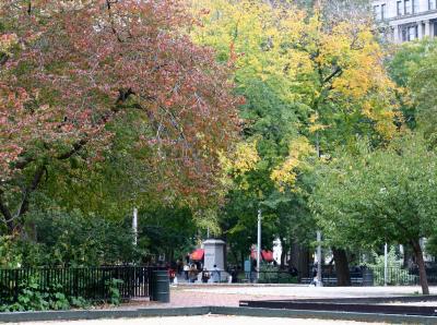 Fall Colors at the Bocce Ball Court