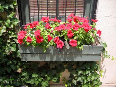 Flower Box