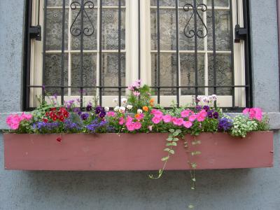 Flower Boxes