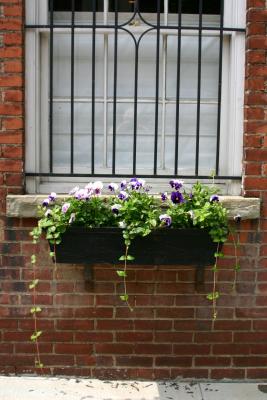 Flower Box