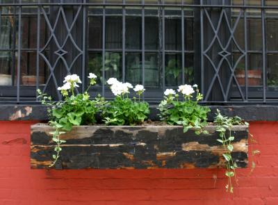 Flower Box