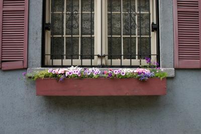Flower Box