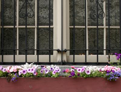 Flower Box