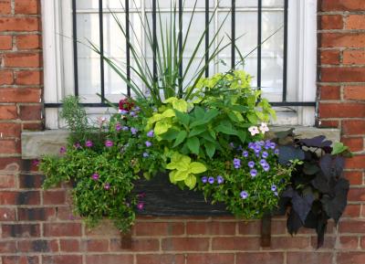 Flower Box
