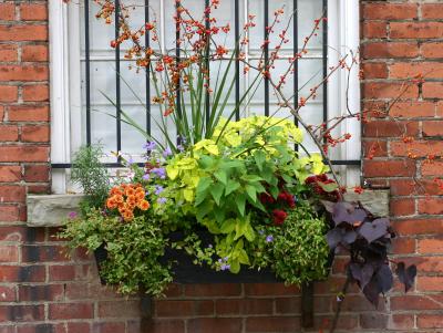 Flower Box