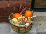 Harvest Basket