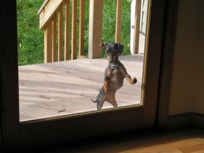 I hear you knocking, but you can't come in