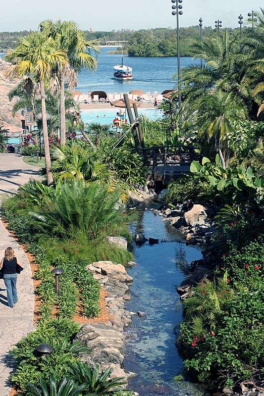 The Polynesian