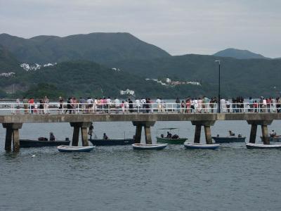ad hoc fish market