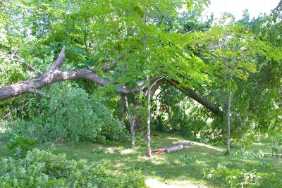 CRW_2845.jpg