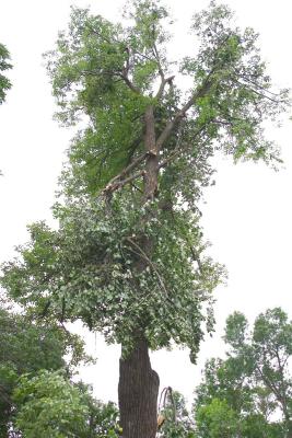 CRW_2867.jpg