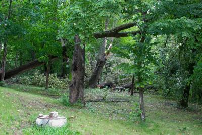 CRW_2879.jpg