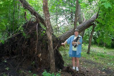 August 2004 storm at the cabin