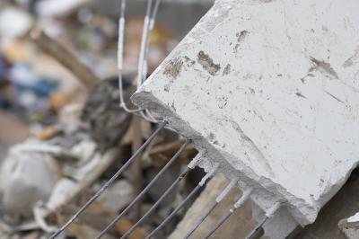 Reinforced plaster