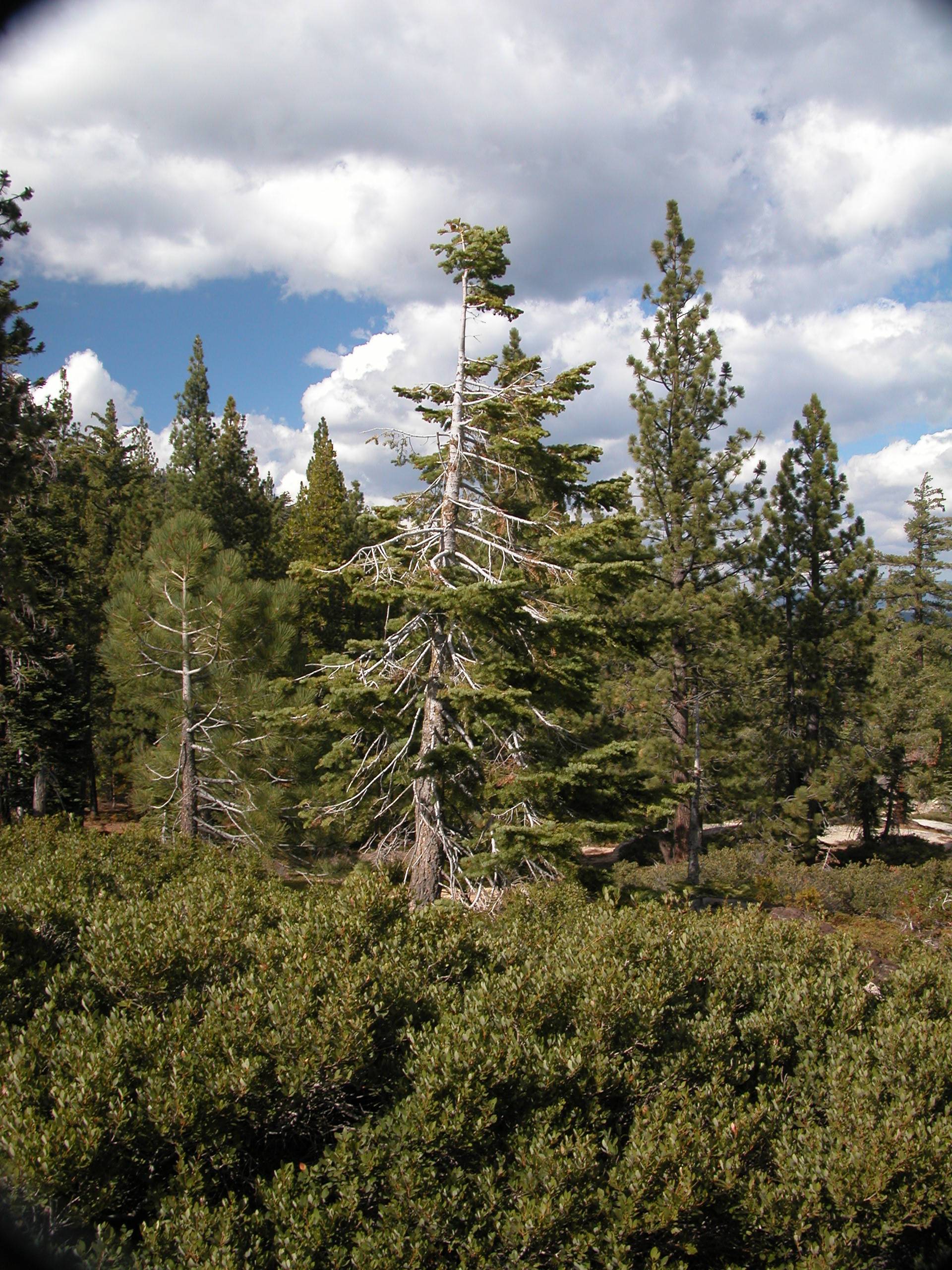 DSCN1425.JPG