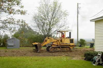 Both Trees Gone