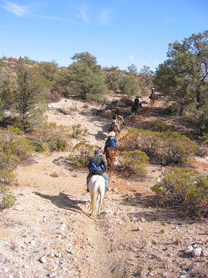 Riders heading towards lookout point