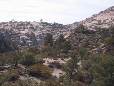 Towards lookout point