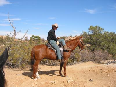 Sentry cowboy