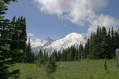 View from Sunrise Visitor Center