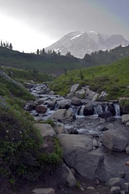 Above Myrtle Falls