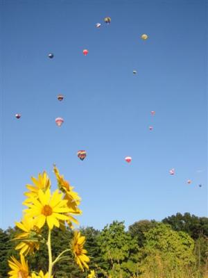 balloon race