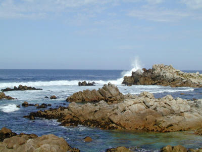 Monterey Bay.JPG