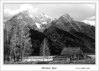 3035bwCMormonRow.jpg