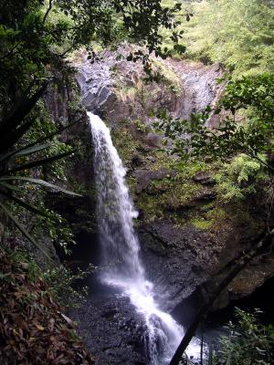 Falls on Pipiwai trail