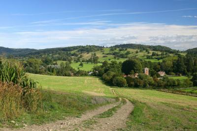 Herefordshire Countryside.