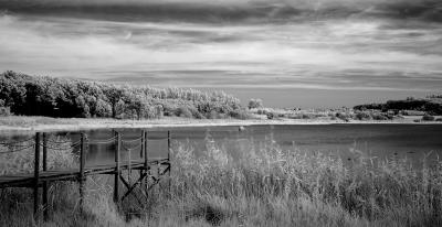 DSC_0460-02-10-Erivid-pass+.jpg