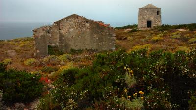 DSC_0011-20-07-POuro.jpg