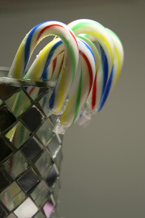 December 14 - striped