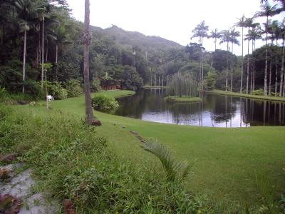 Kauai Property