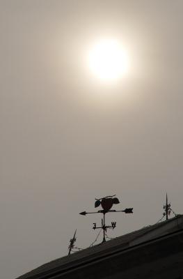 Dsc04530-1.JPG
