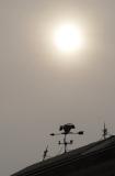 Dsc04530-1.JPG