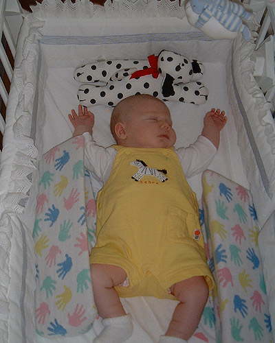 ellie_incrib.jpg