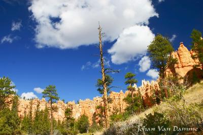 Bryce Canyon Np