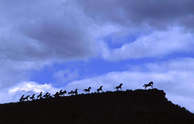 WILD HORSES SCULPTURE