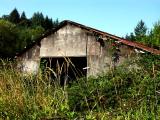 040815 Old Shed
