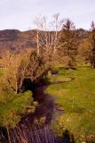 Winding Stream