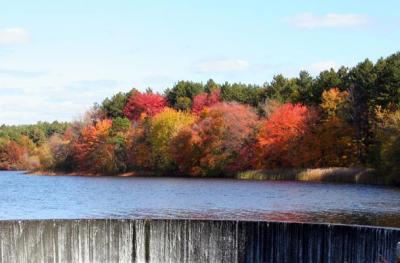 Reservoir  feed