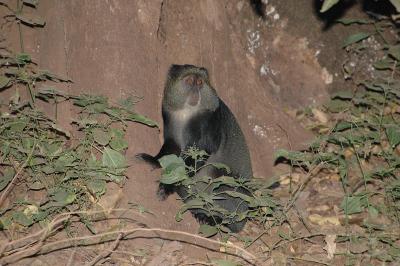 u6/keeslourens/medium/32666518.DSC_0094.jpg