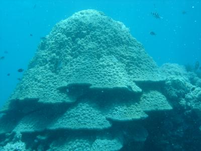 underwater 7