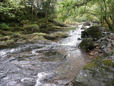 Dartmoor stream (Peter Tavy)