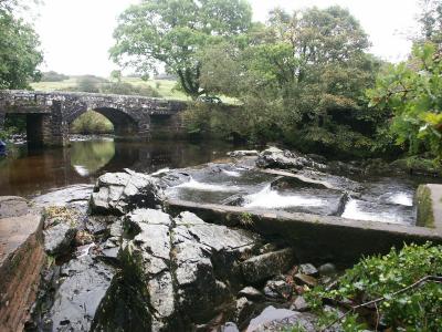 Dartmoor stream (Peter Tavy)