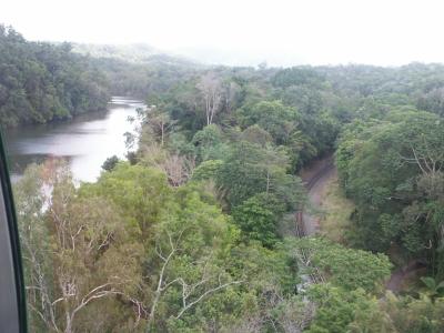 View from Skyrail (Kuranda)