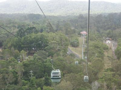 View from Skyrail (Kuranda)