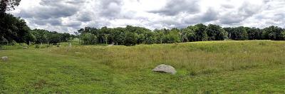 23 Across The Wheatfield looking West.jpg